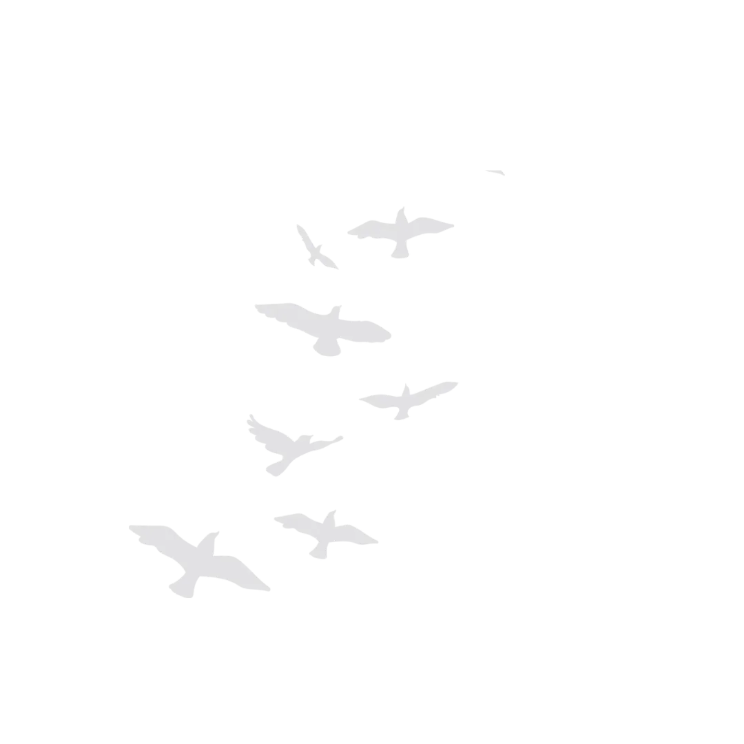 vogels wit